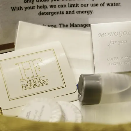 Hotel Federiciano 4*